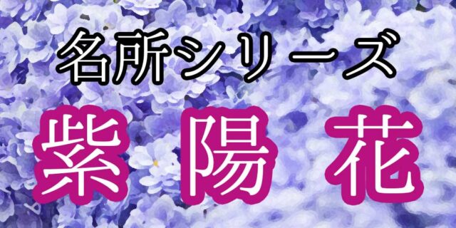 6月の花あじさい こんなところも 広島界隈で楽しむあじさい名所特集