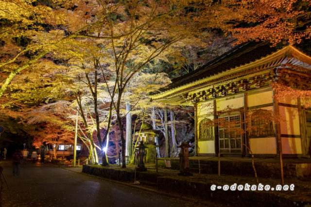 紅葉ライトアップ 広島で大人気の紅葉スポット 佛通寺のライトアップが美しすぎた