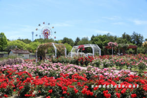 中国地方おでかけしようねっと 山口県の観光 おでかけ 遊び場情報