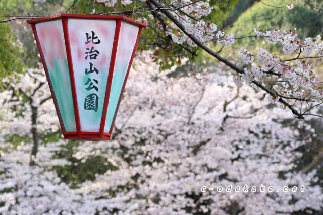 比治山公園お花見専門ガイド 比治山公園で花見をするなら要確認