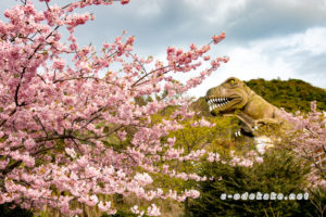 中国地方おでかけしようねっと 山口県の観光 おでかけ 遊び場情報