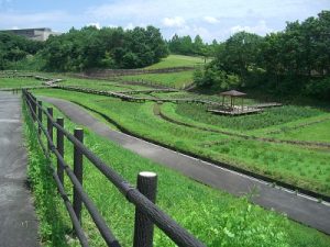 中国地方おでかけしようねっと 三次市 庄原市 安芸太田町 北広島町 広島県北部の観光 おでかけ 遊び場情報