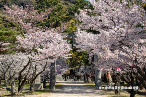 中国地方おでかけしようねっと 山口県の観光 おでかけ 遊び場情報